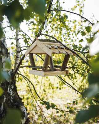 Ptičja hišica je majhna hiška, a ima res velik pomen 🐦 Vsaka hišica na vrtu pomeni: 🌳 Varno domovanje za ptice 🎶 Pevsko...